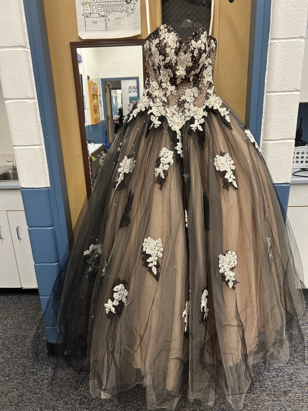 Nude and Black Lace Applique Tulle Ball Gown - Formal Dress